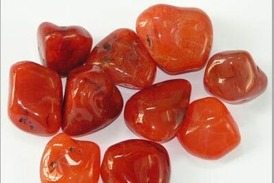 Pebcarnelian 878051