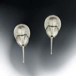 White Gold Horseshoe Crab Earrings